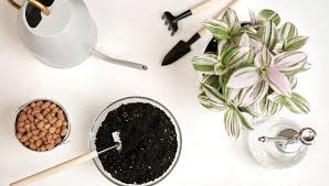 پرورش برگ بیدی